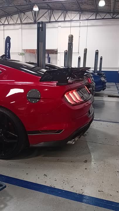 🔥V8 Berrando🐎