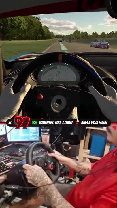 A paciência é uma virtude... e no simulador, ela é um superpoder! 🧘‍♂️🏎️  #automobile #racing #games